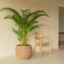 Load image into Gallery viewer, Saya Plant Pot Set | Round