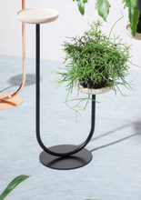 Load image into Gallery viewer, Cigales Low Holder