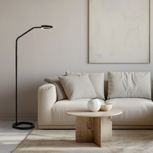 Load image into Gallery viewer, Apriro Floor Lamp
