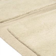 Load image into Gallery viewer, Alaska Rug
