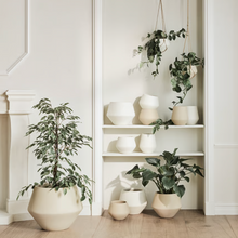 Load image into Gallery viewer, Grove Planter | Short
