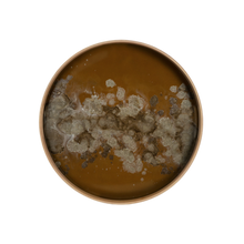 Load image into Gallery viewer, Second Nature Bronze Round Tray | 48cm
