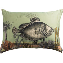 Load image into Gallery viewer, Zeus Faber Cushion
