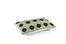 Load image into Gallery viewer, Samsara Cushion | Lichen
