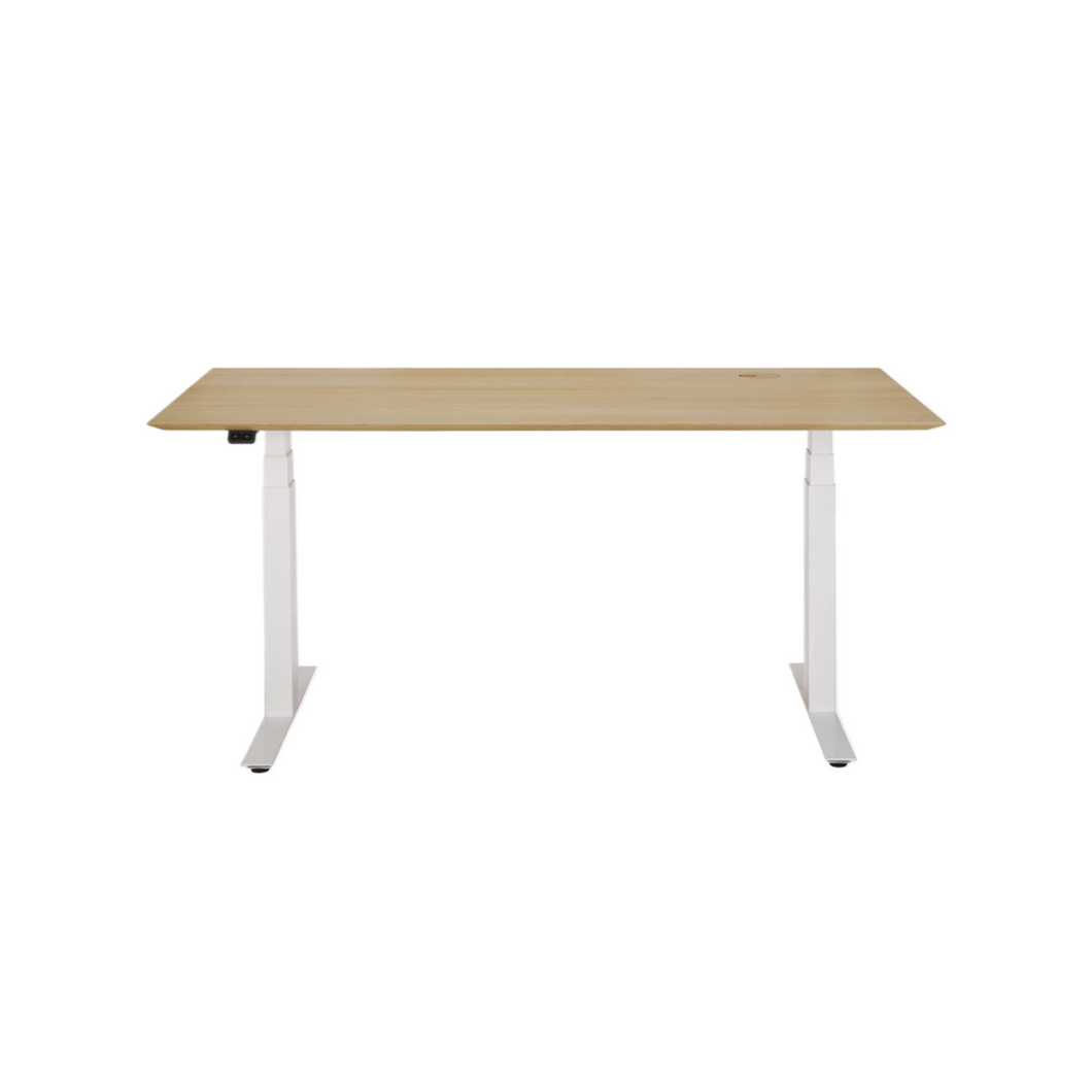 Bok Adjustable Desk