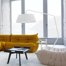 Load image into Gallery viewer, Bul Floor Light
