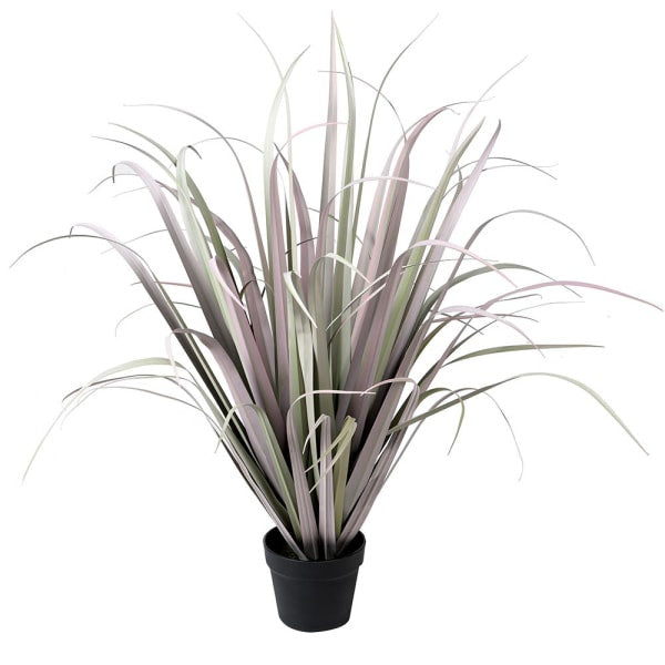 Grey Lilac Onion Grass