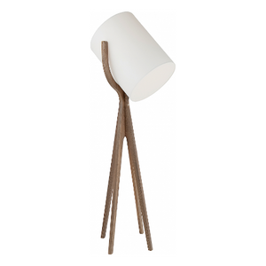 Shooting Floor Lamp