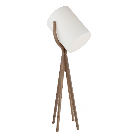 Shooting Floor Lamp