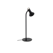 Load image into Gallery viewer, Asha Table Lamp
