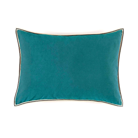 Aristote Cushion | Canard