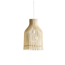 Load image into Gallery viewer, Firefly Pendant
