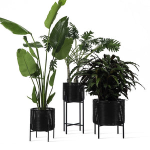 Ivo Plant Pot | Large