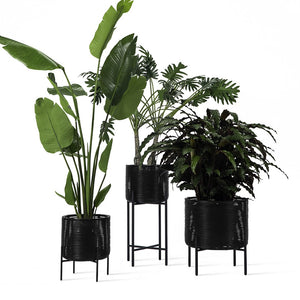 Ivo Plant Pot | Small