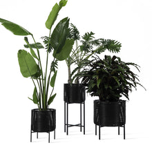 Load image into Gallery viewer, Ivo Plant Pot | Medium
