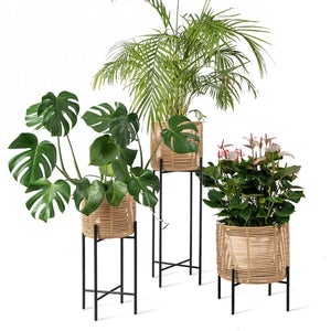 Vivi Plant Pot | Medium