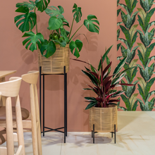 Load image into Gallery viewer, Vivi Plant Pot | Small

