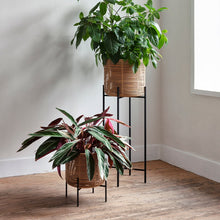 Load image into Gallery viewer, Vivi Plant Pot | Small
