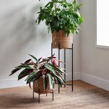 Load image into Gallery viewer, Vivi Plant Pot | Medium
