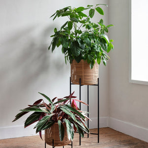 Vivi X Large Plant Pot